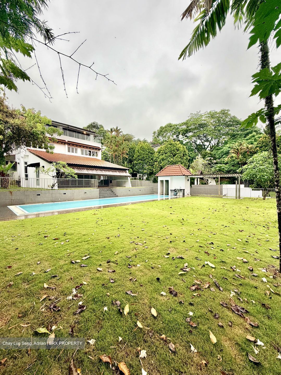 Gallop Road (D10), Detached #552569051